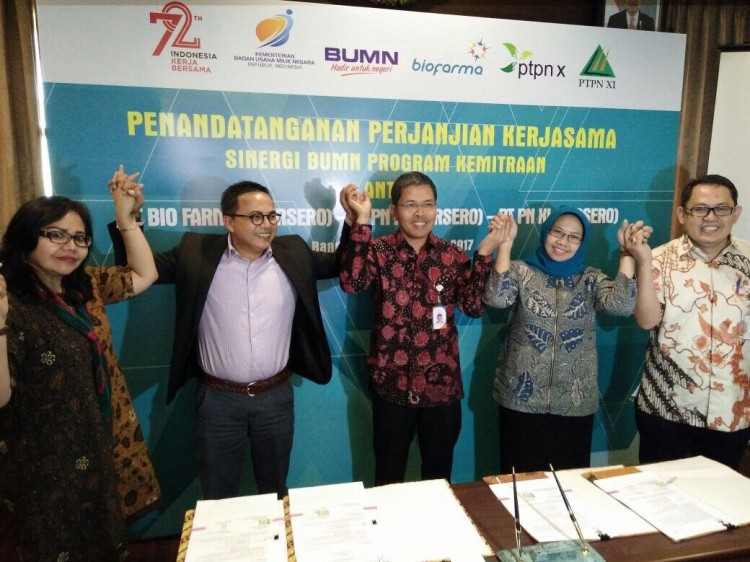 Bio Farma Dukung Petani Gula, Salurkan Rp 11 Miliar