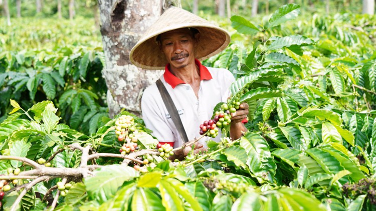 52 Tahun Perjalanan Nestlé Menciptakan Manfaat Bersama di Indonesia